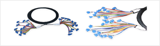 Customized Fiber Optic Assembly