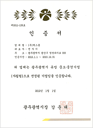 Promising small business certificate